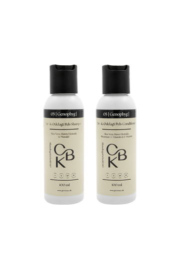 Sampak 05 Rebuild - Dry & Damaged Coat Shampoo + Conditioner