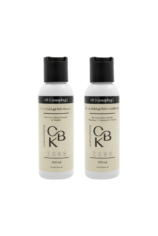 Sampak 05 Rebuild - Dry & Damaged Coat Shampoo + Conditioner