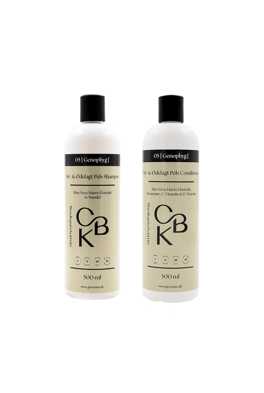 Sampak 05 Rebuild - Dry & Damaged Coat Shampoo + Conditioner