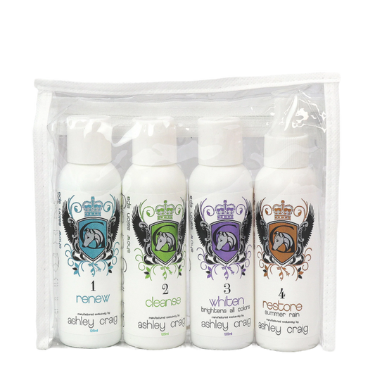 SHOW SALON SPA SERIES TRAVEL SET 4 X 125 ML
