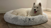 LUXURY DONUT WITH ZIPPER AND REMOVABLE COVER BY CBK IN FROZEN WHITE