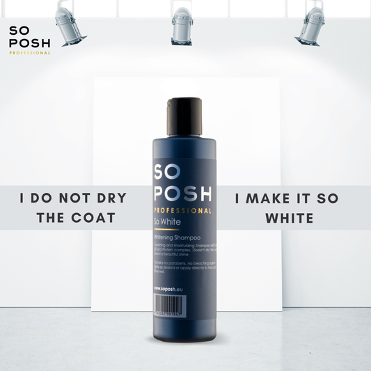 SO WHITE SHAMPOO (PURPLE)