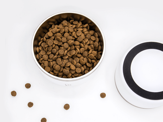 CBK Food & Water Bowls – White