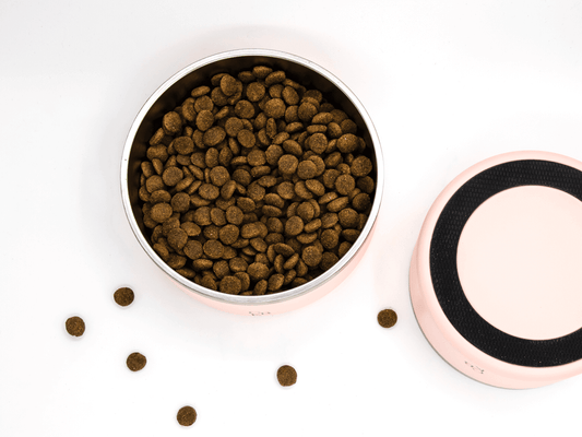 CBK Food & Water Bowls – Pink