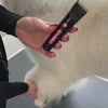 KISS SMART CORDLESS PAW TRIMMER - BEST IN TEST