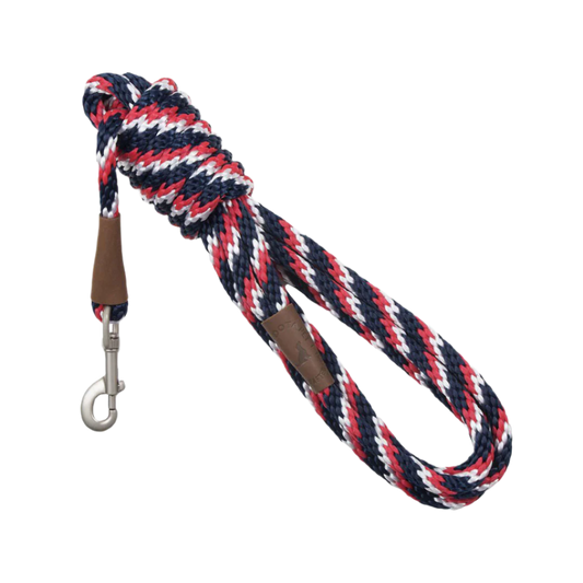 TRACK LEASH PRIDE 13 MM