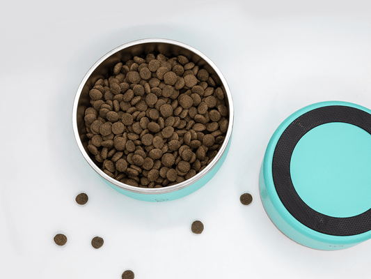 CBK Food & Water Bowls – Turquoise