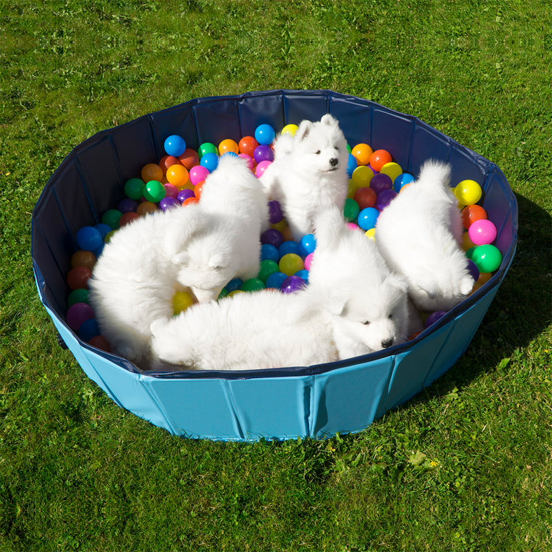 Schwimmbecken für Hunde 100 x 30 cm