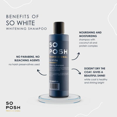 So White Shampoo (lila) – Gut für Verfärbungen 