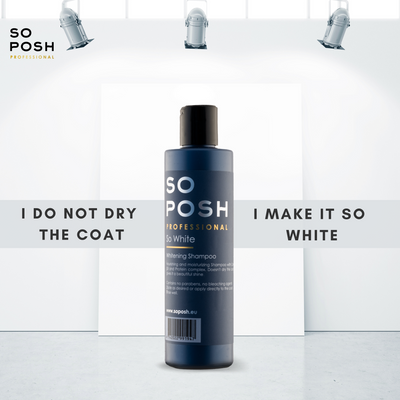 So White Shampoo (lila) – Gut für Verfärbungen 